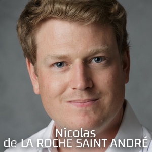 Consultant Nicolas de la ROCHE SAINT ANDRE