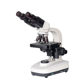 Audit Processus Sécurisation Microscope