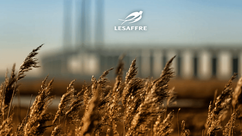 Industrie Fermentation Lesaffre Consulting Performance