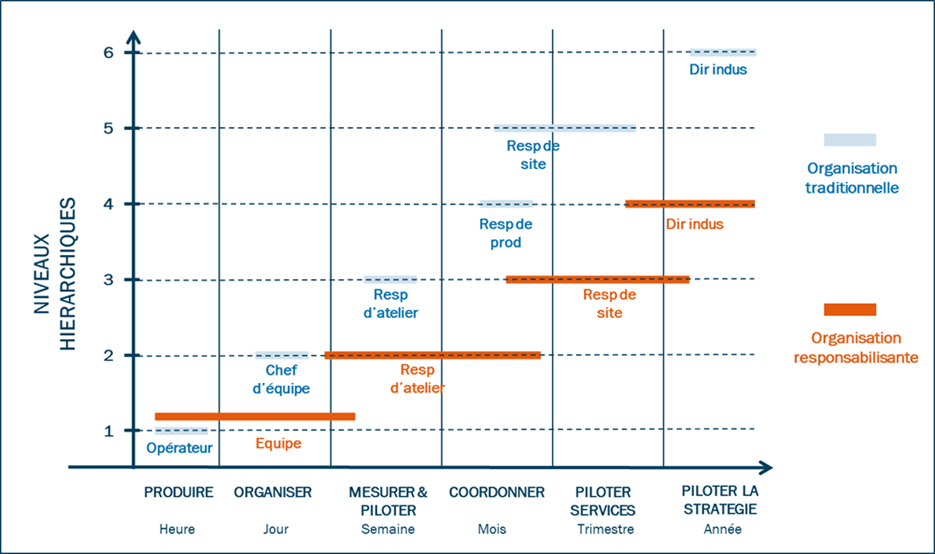 Structure Entreprise Diagramme Niveaux Hiérarchiques